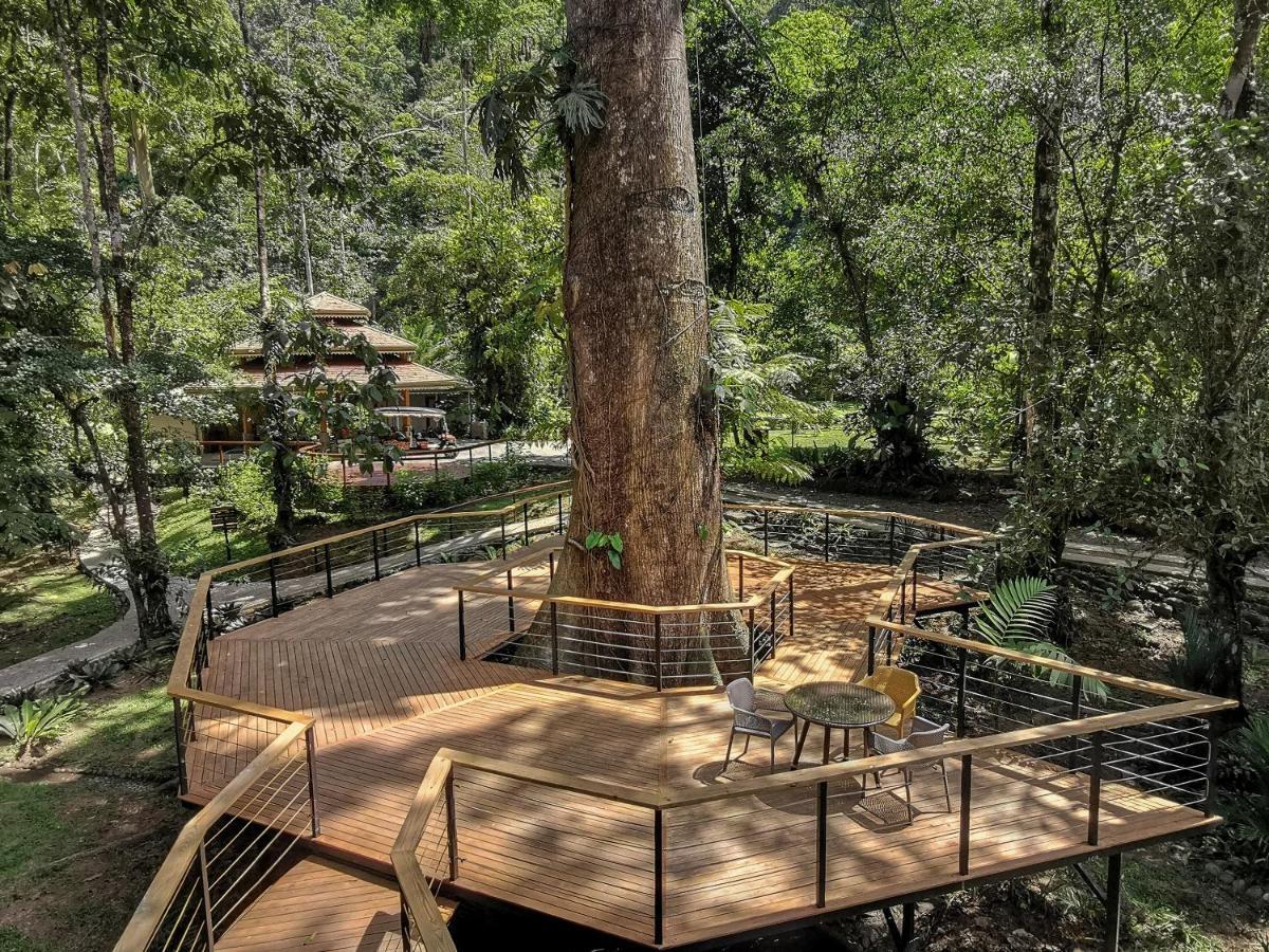 Pacuare Lodge By Boeena Limon ภายนอก รูปภาพ